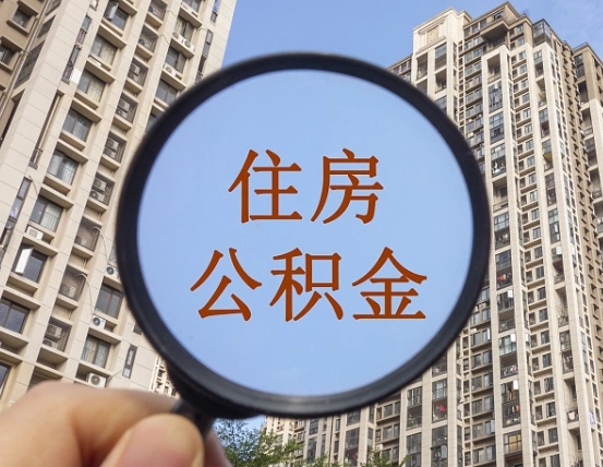 泸州退休后查不到公积金明细了吗（退休后公积金查询不到原因）